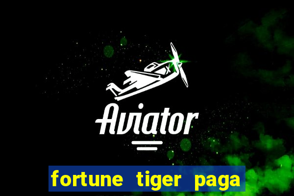 fortune tiger paga de madrugada